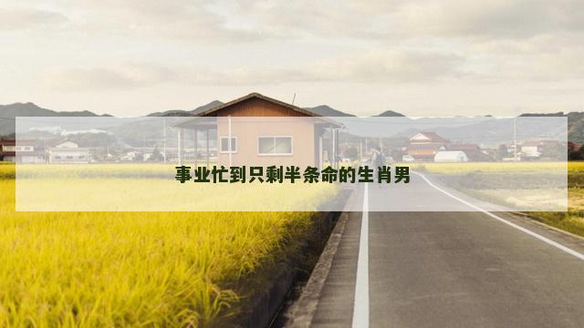事业忙到只剩半条命的生肖男