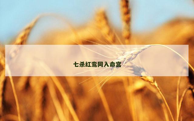 七杀红鸾同入命宫