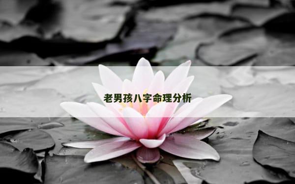 老男孩八字命理分析