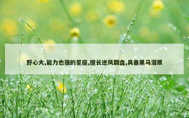 野心大,能力也强的星座,擅长逆风翻盘,具备黑马潜质