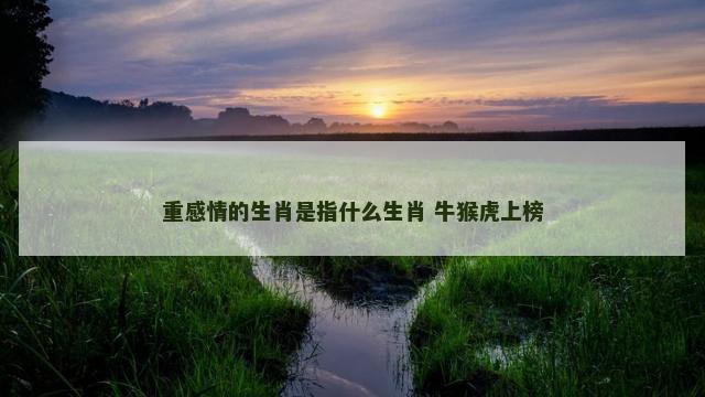 重感情的生肖是指什么生肖 牛猴虎上榜