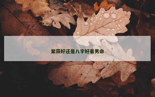 紫薇好还是八字好看男命