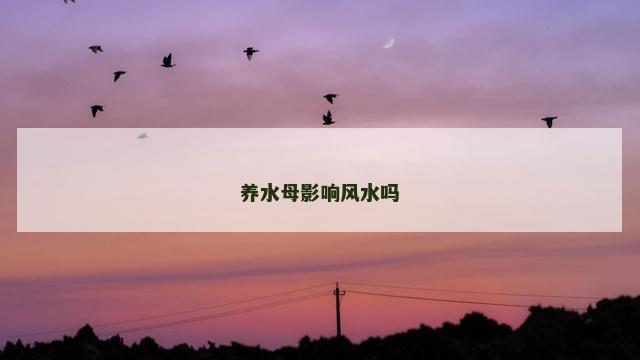 养水母影响风水吗