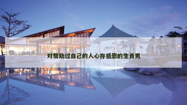 对帮助过自己的人心存感恩的生肖男