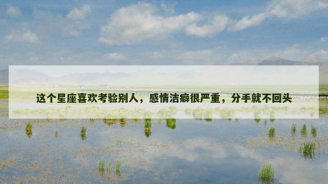 这个星座喜欢考验别人，感情洁癖很严重，分手就不回头