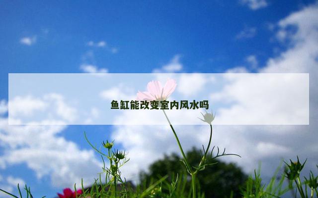 鱼缸能改变室内风水吗