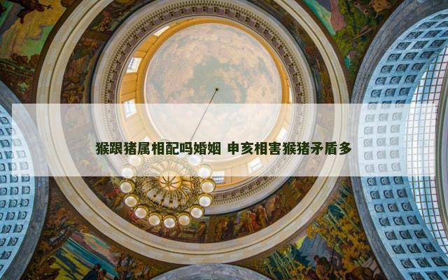 猴跟猪属相配吗婚姻 申亥相害猴猪矛盾多