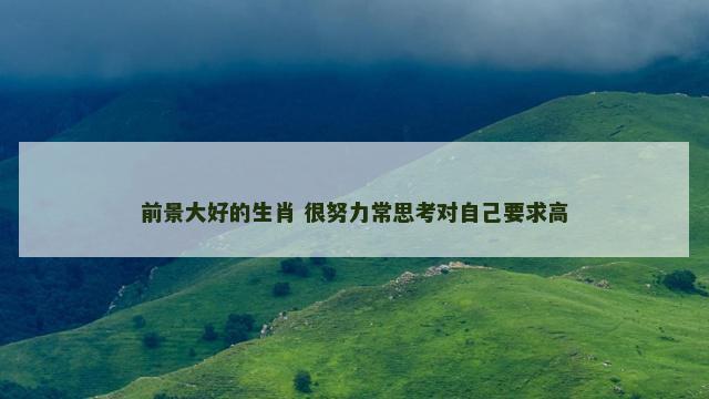 前景大好的生肖 很努力常思考对自己要求高