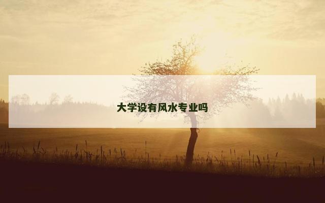 大学设有风水专业吗