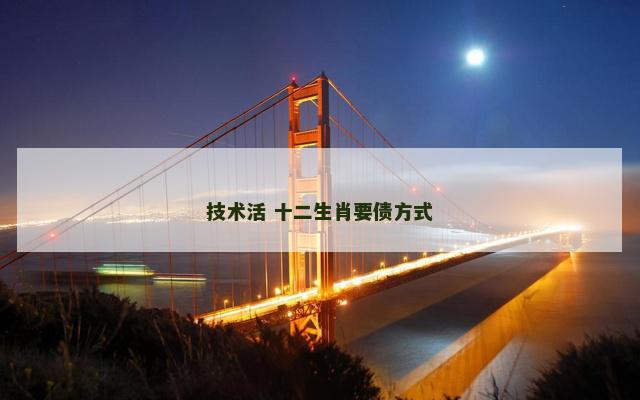 技术活 十二生肖要债方式