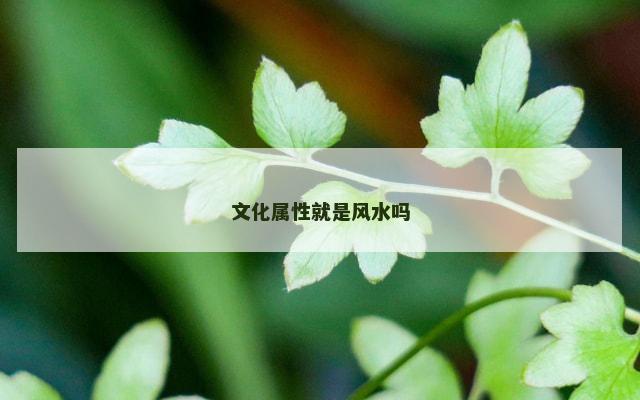 文化属性就是风水吗