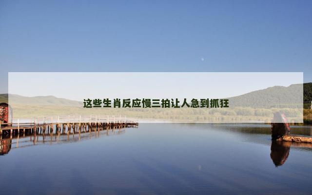 这些生肖反应慢三拍让人急到抓狂