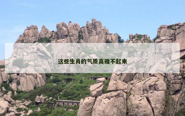 这些生肖的气质高雅不起来