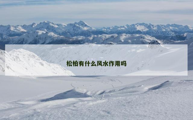 松柏有什么风水作用吗