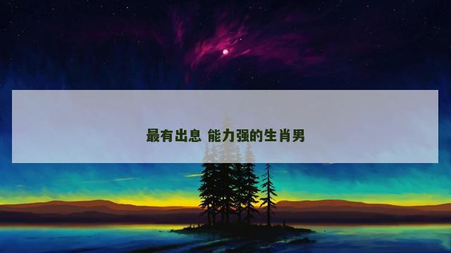 最有出息 能力强的生肖男
