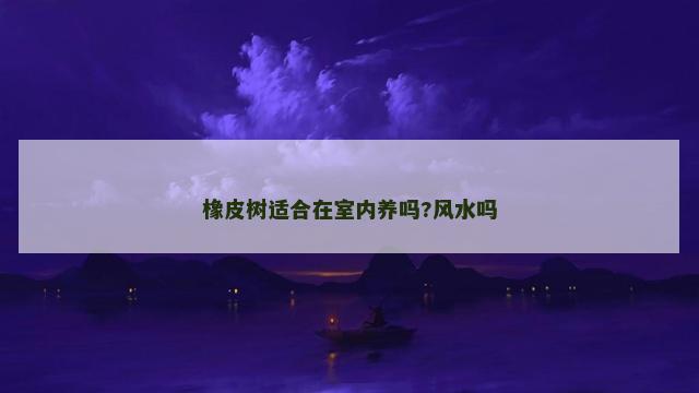 橡皮树适合在室内养吗?风水吗