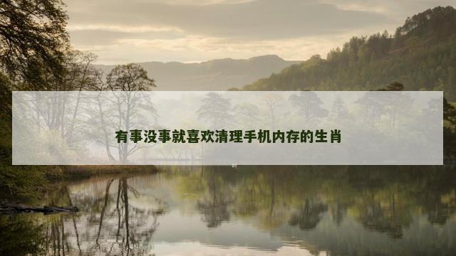有事没事就喜欢清理手机内存的生肖