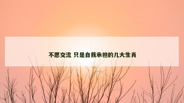 不愿交流 只是自我承担的几大生肖