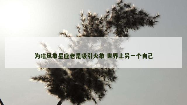为啥风象星座老是吸引火象 世界上另一个自己