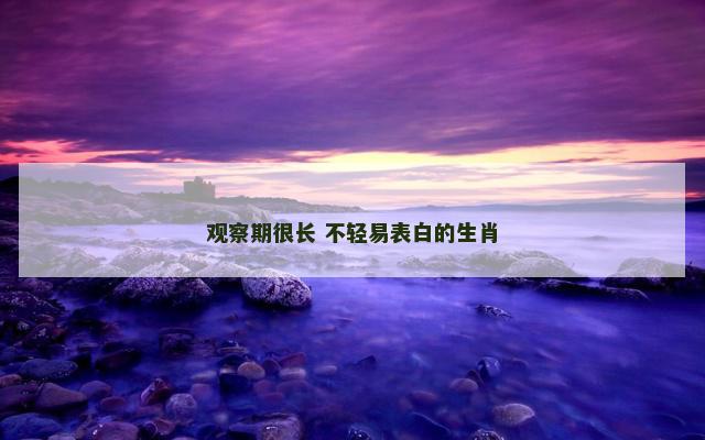 观察期很长 不轻易表白的生肖