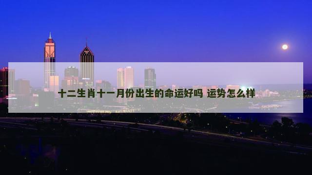 十二生肖十一月份出生的命运好吗 运势怎么样
