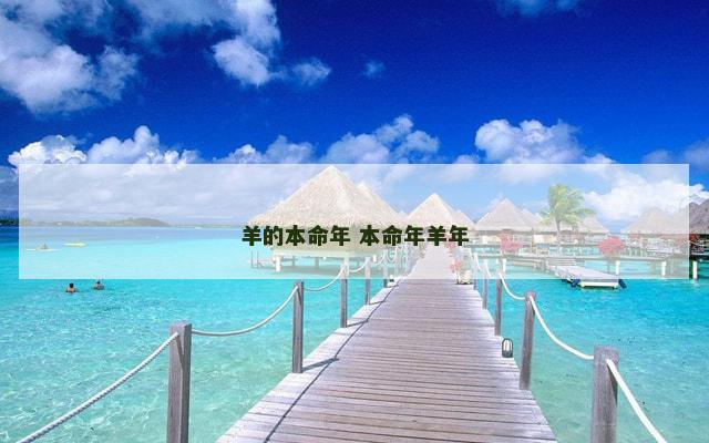 羊的本命年 本命年羊年