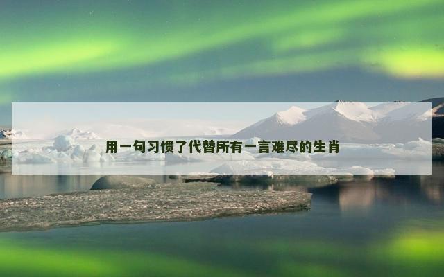 用一句习惯了代替所有一言难尽的生肖