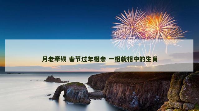 月老牵线 春节过年相亲 一相就相中的生肖