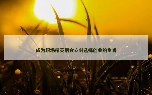 成为职场精英后会立刻选择创业的生肖