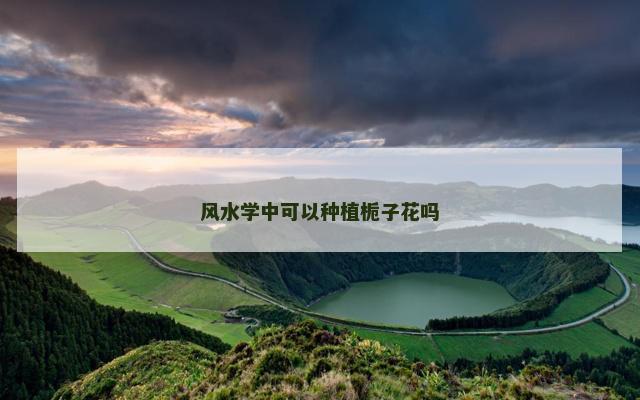 风水学中可以种植栀子花吗