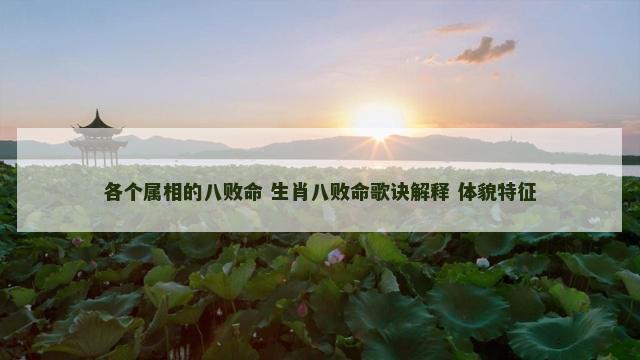 各个属相的八败命 生肖八败命歌诀解释 体貌特征