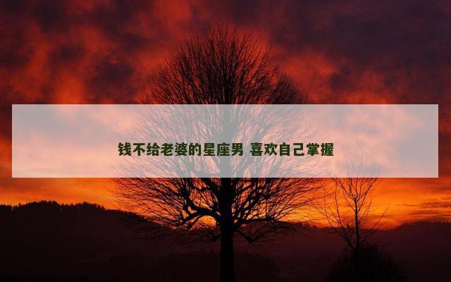 钱不给老婆的星座男 喜欢自己掌握