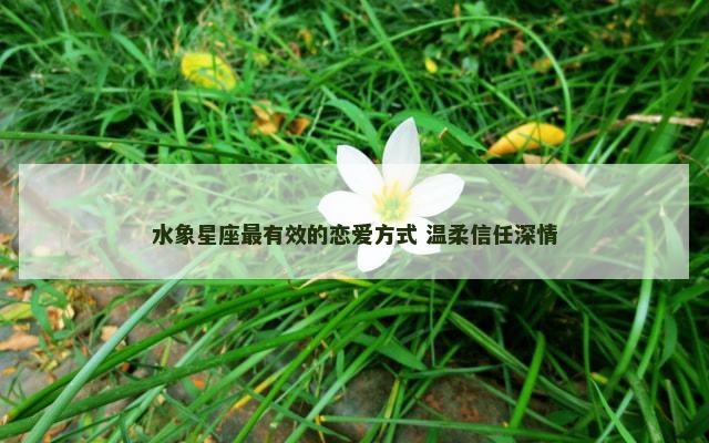水象星座最有效的恋爱方式 温柔信任深情