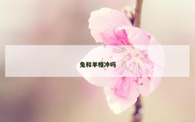兔和羊相冲吗