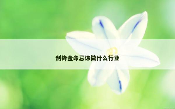 剑锋金命忌讳做什么行业