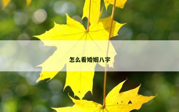 怎么看婚姻八字