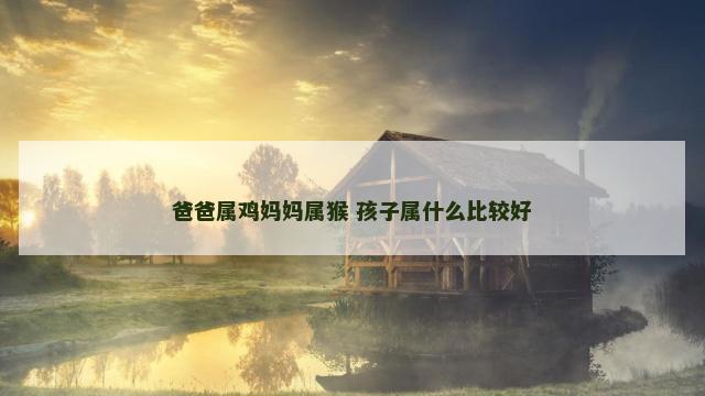 爸爸属鸡妈妈属猴 孩子属什么比较好