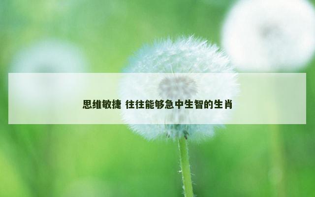 思维敏捷 往往能够急中生智的生肖