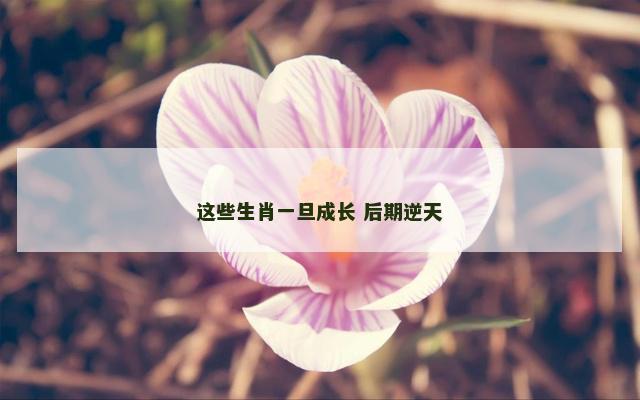 这些生肖一旦成长 后期逆天