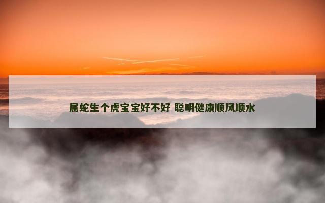 属蛇生个虎宝宝好不好 聪明健康顺风顺水