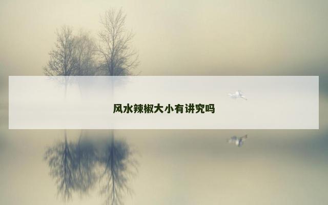 风水辣椒大小有讲究吗
