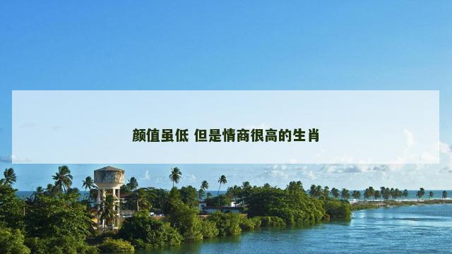 颜值虽低 但是情商很高的生肖