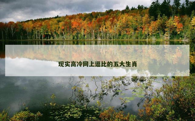 现实高冷网上逗比的五大生肖
