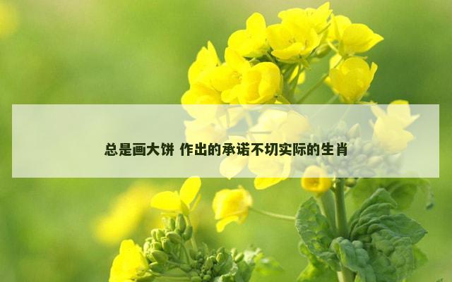 总是画大饼 作出的承诺不切实际的生肖