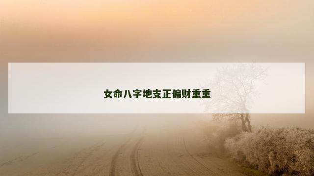 女命八字地支正偏财重重