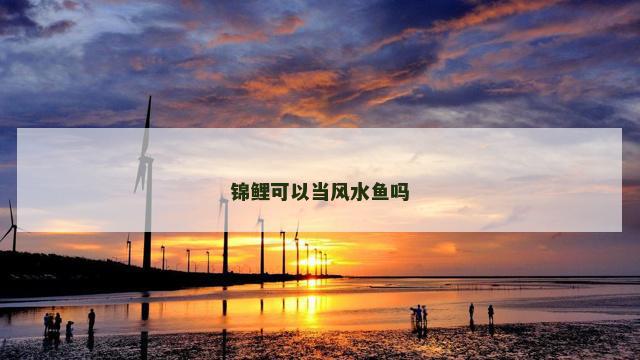 锦鲤可以当风水鱼吗