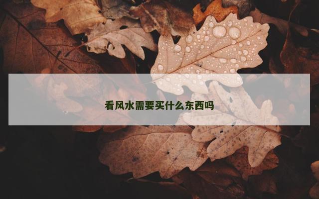 看风水需要买什么东西吗