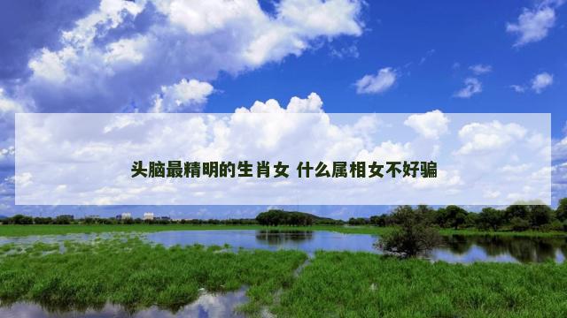 头脑最精明的生肖女 什么属相女不好骗