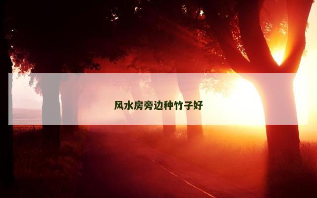 风水房旁边种竹子好