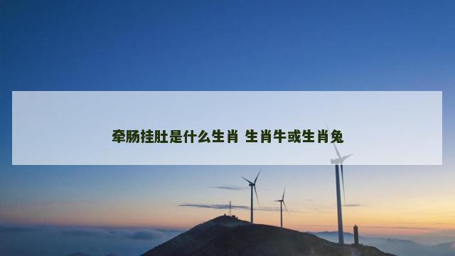 牵肠挂肚是什么生肖 生肖牛或生肖兔